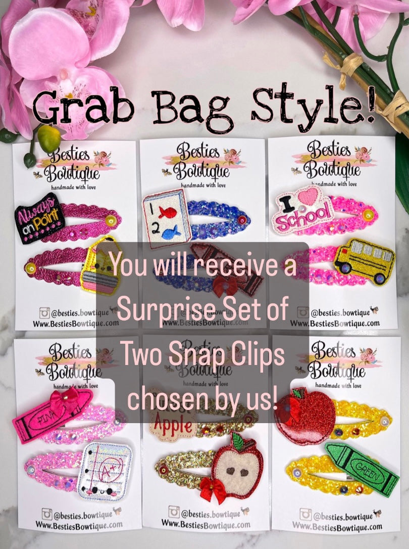Grab Bag Style* School Snap Clips Set of Two (Chosen by Us)